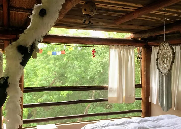 Pueblito Selva *