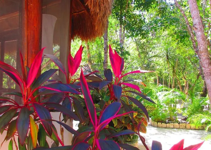 Pueblito Selva *
