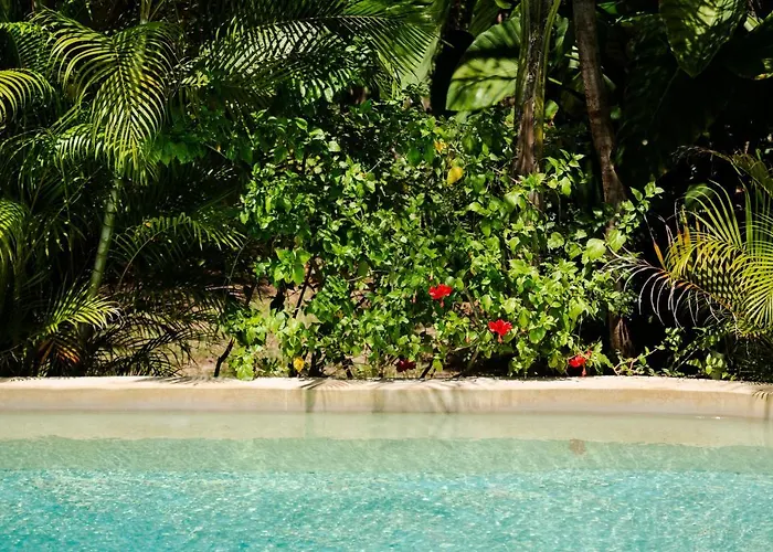 Pueblito Selva Lodge